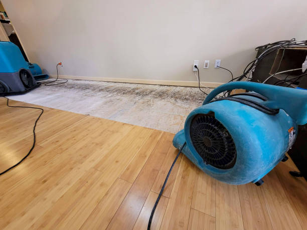 Professional Structural Drying technician working in Covina, CA